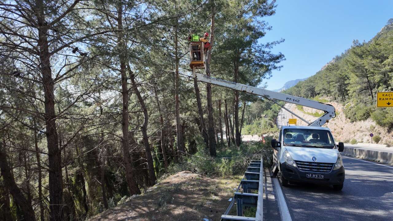 Sakar Geçidi’nde Yangın Riskine Karşı Yol Kenarı Temizliği Sürüyor 6
